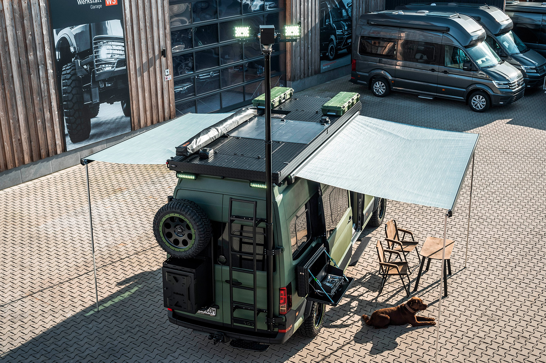 Galerie The Hunter - 4